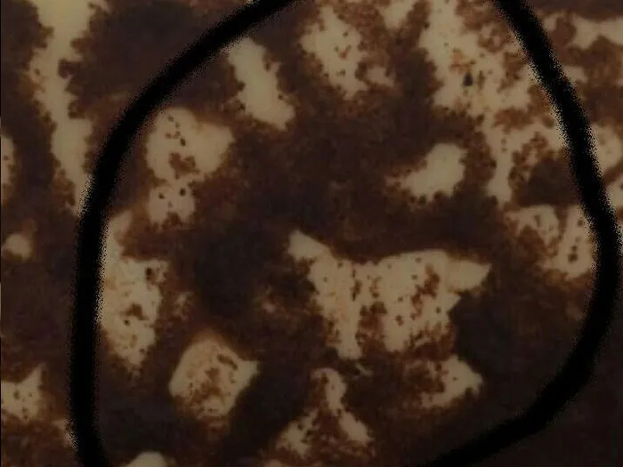 Запись на прием к гадалке в Юрге